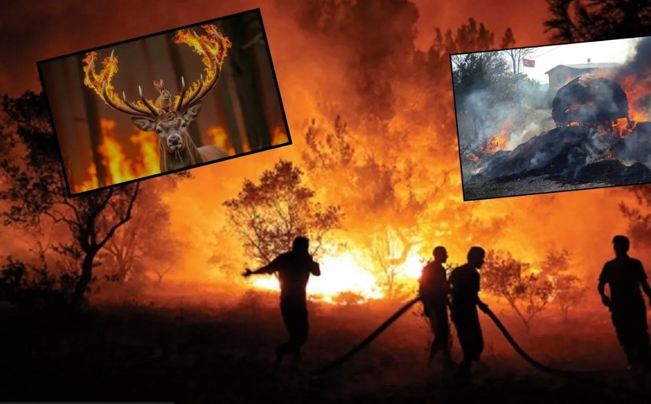 “Yeşil Vatan Alarm Veriyor!”