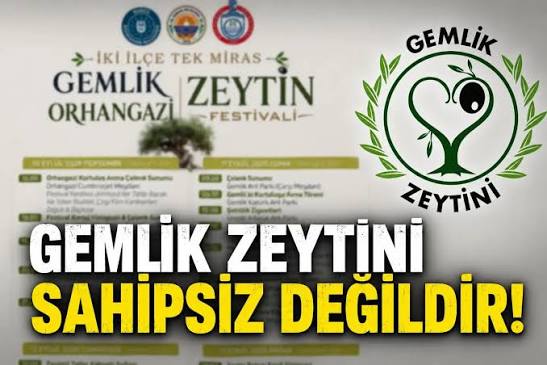 Orhan Karaduman’dan Gemlik Zeytini Festivali İçin 12 Maddelik Çözüm Önerisi