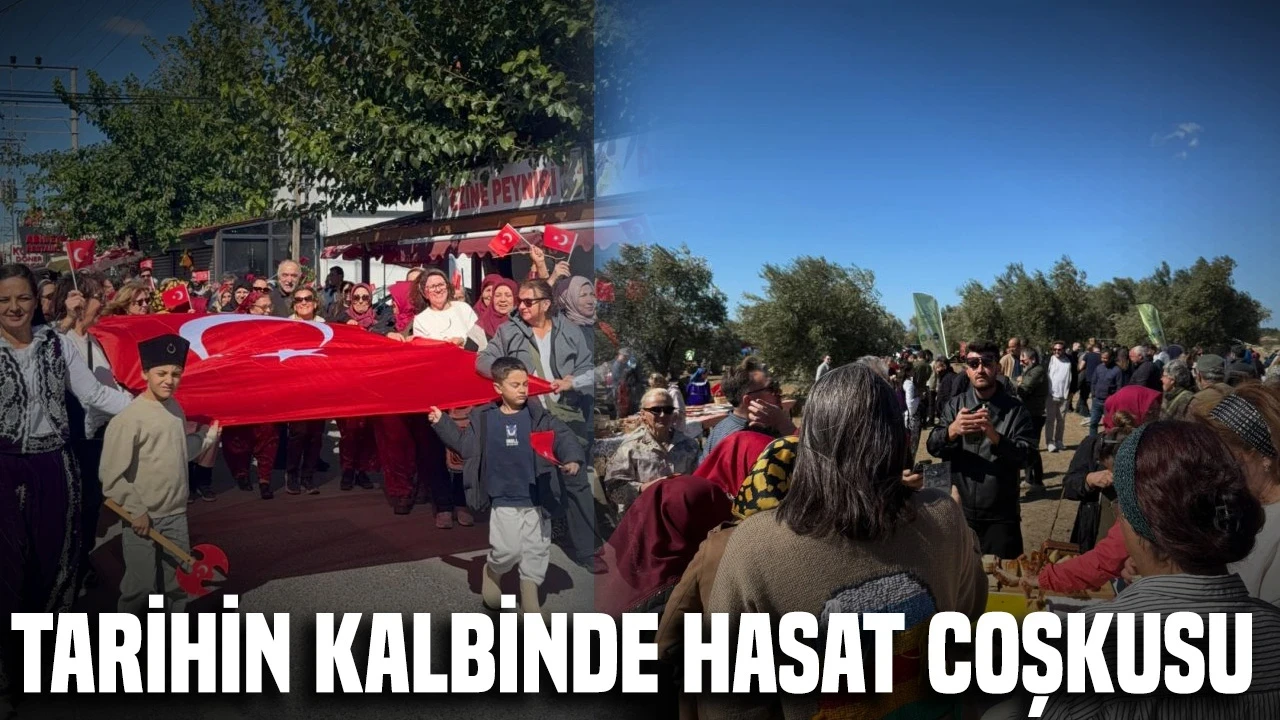 Alçıtepe’de Kirte Zeytin Hasat Festivali düzenlendi